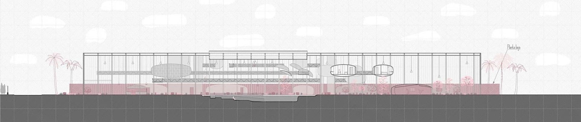 section