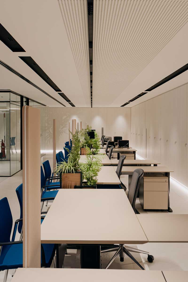 interior-local-comercial-moderno