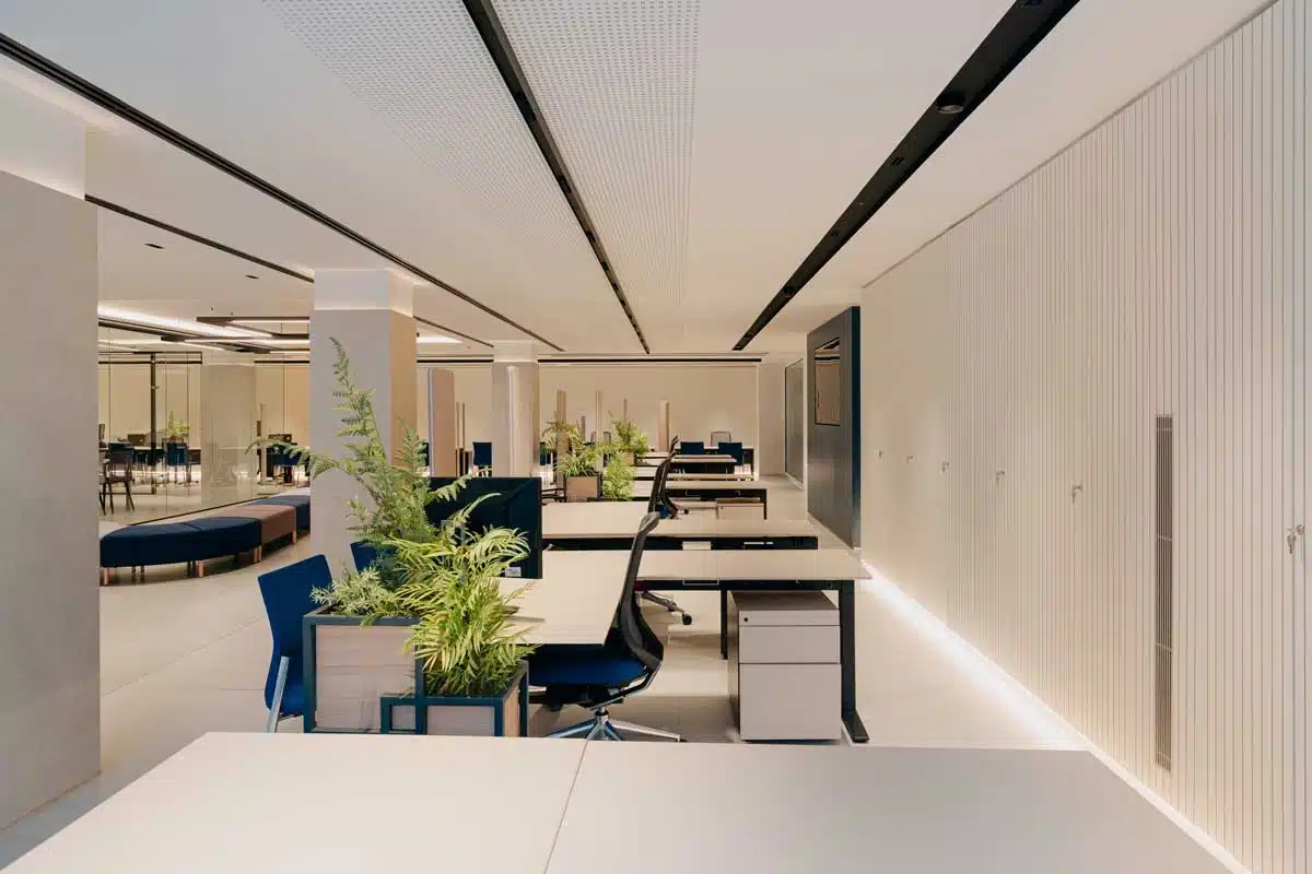 proyecto-reforma-alicante